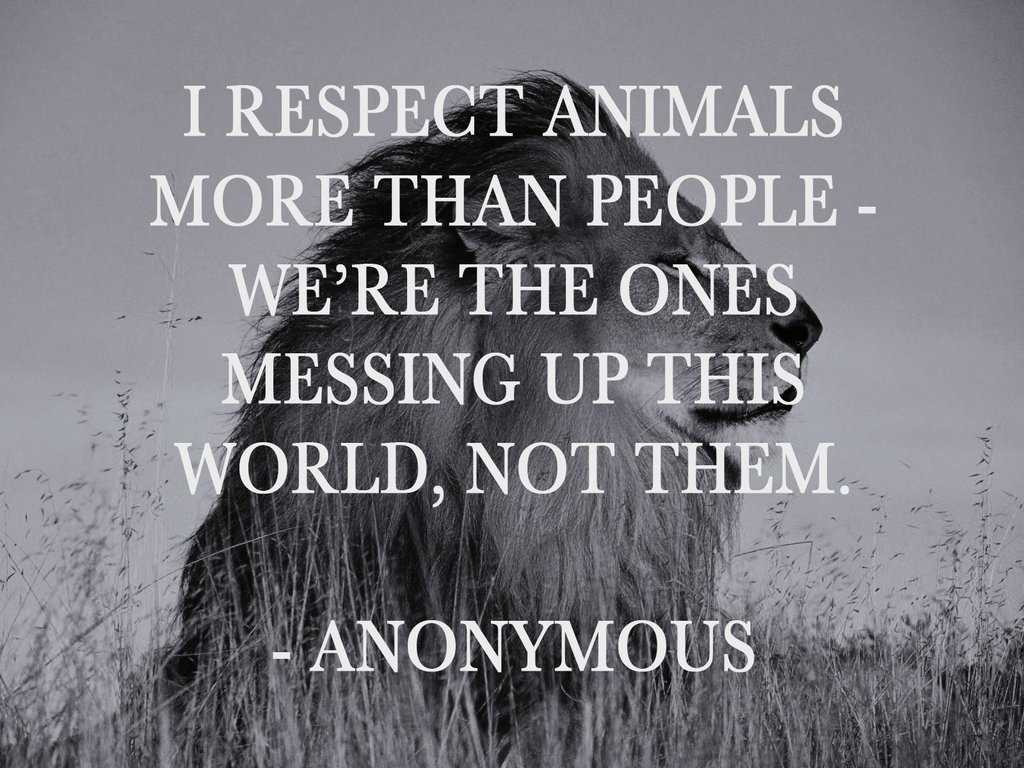 I Respect Animals Motivational Love Quotes
